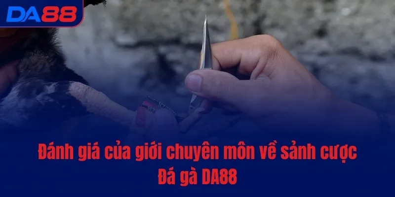 Đánh giá của giới chuyên môn về sảnh cược Đá gà DA88