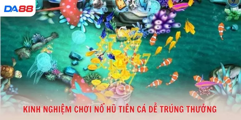 Kinh nghiệm chơi nổ hũ tiên cá dễ trúng thưởng